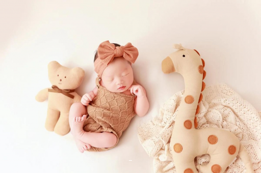 那曲宝宝虾的做法 那曲宝宝虾的做法